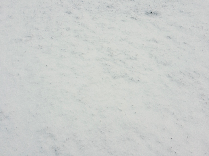 Snowy ground