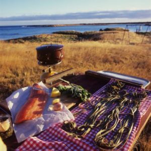 Food and Icelandic Nature